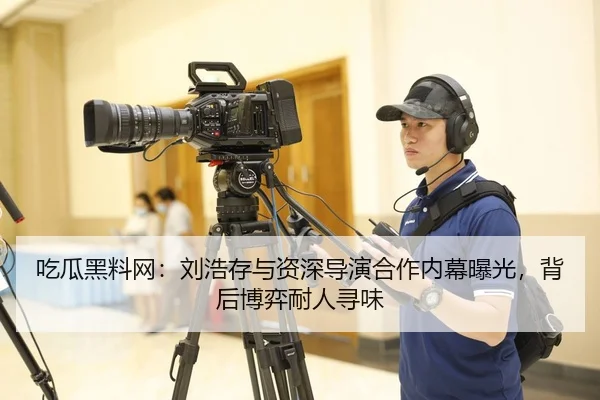 吃瓜黑料网：刘浩存与资深导演合作内幕曝光，背后博弈耐人寻味